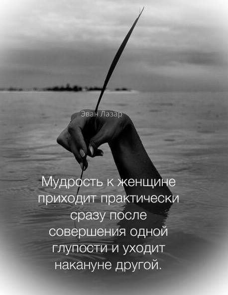 Эван эзар афоризмы