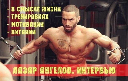 Хит Коллинз США