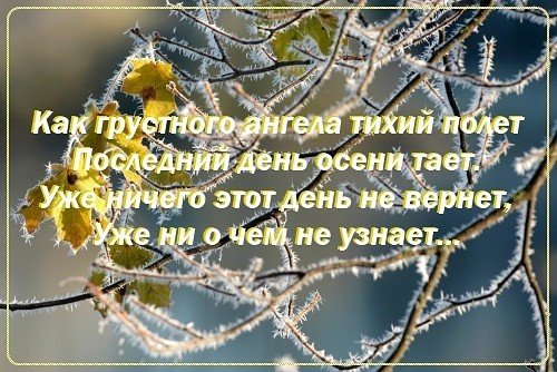 Ноябрь прощание с осенью