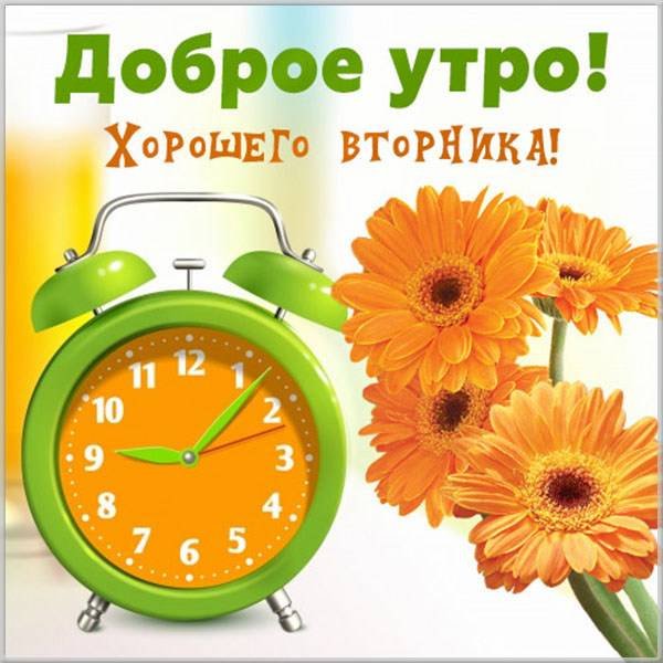 Доброе утро вторника
