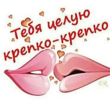 Целую обнимаю