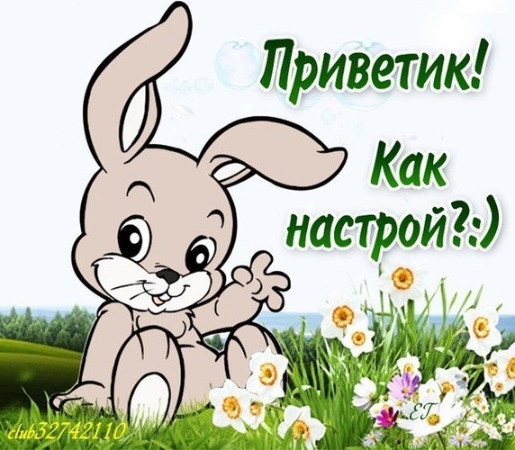 Открытки привет прикольные
