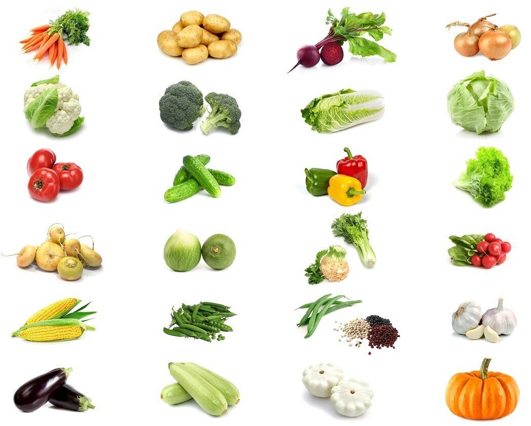 Овощи картинки для детей. Овощи для детей. Овощи и фрукты для детей. Овощи для дошкольников. Изображение овощей для детей.