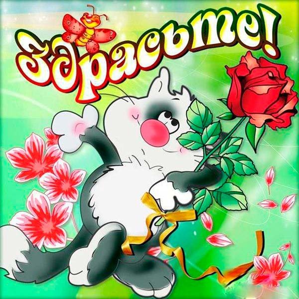 Открытки привет