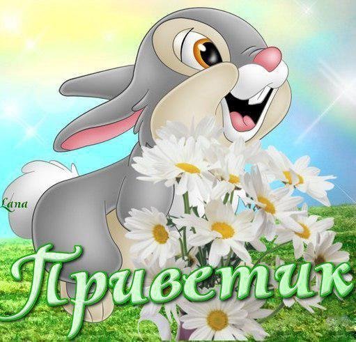 Приветики в картинках прикольные