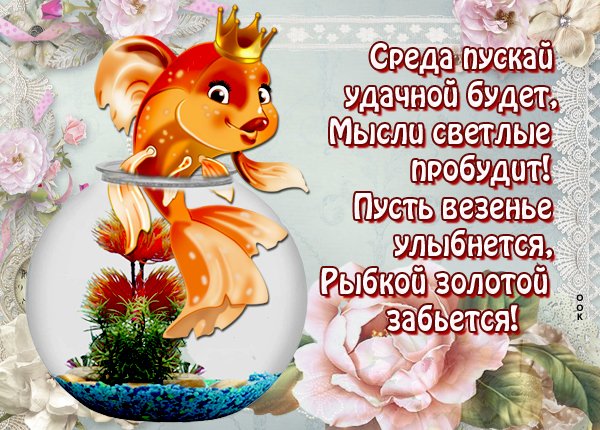 Поздравление со средой