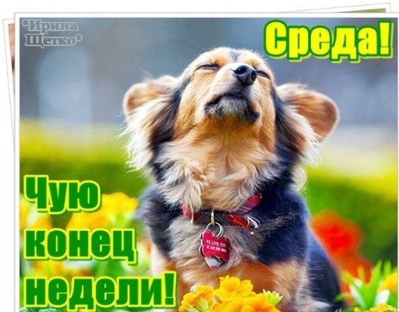 Позитивчик для хорошего настроения