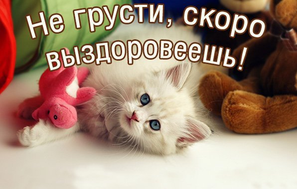 Скорейшего выздоровления открытка