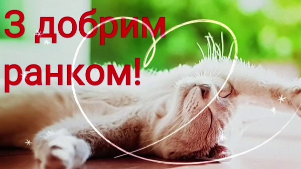 Доброго ранку