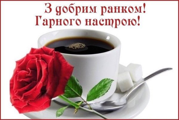 Доброго ранку