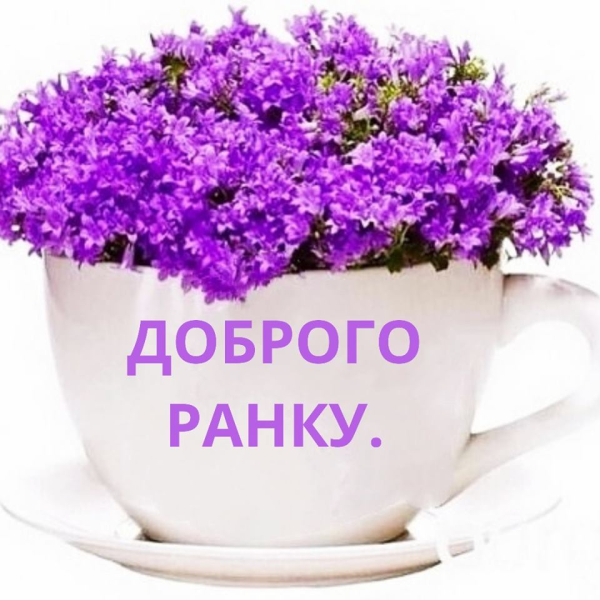 Доброго ранку