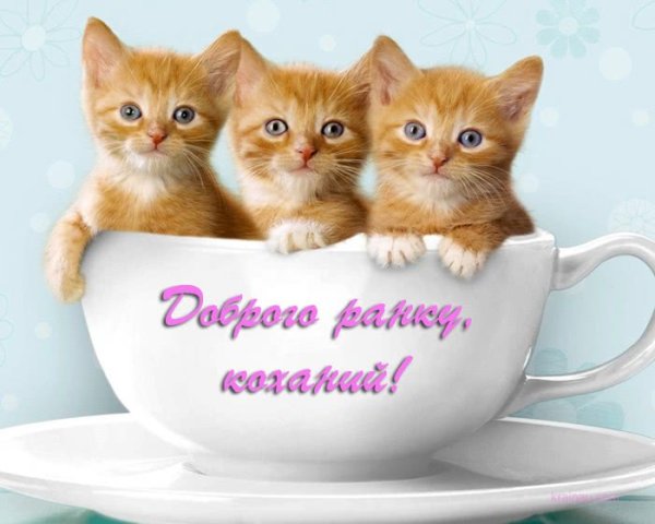 Побажання доброго ранку