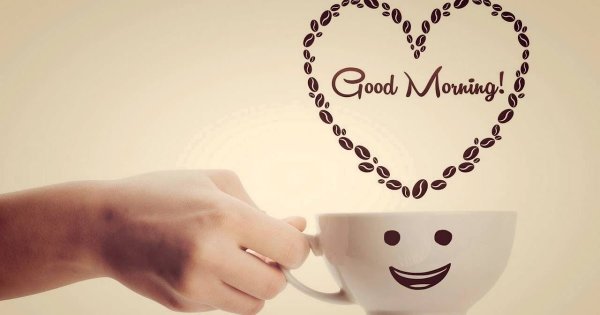 Вставай Засоня