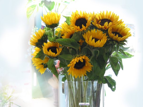 Доброго ранку суботи