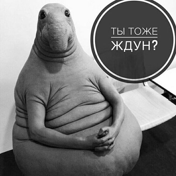Ждун Мона Лиза
