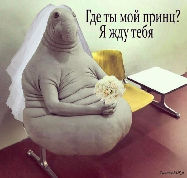 Кресло мешок Ждун