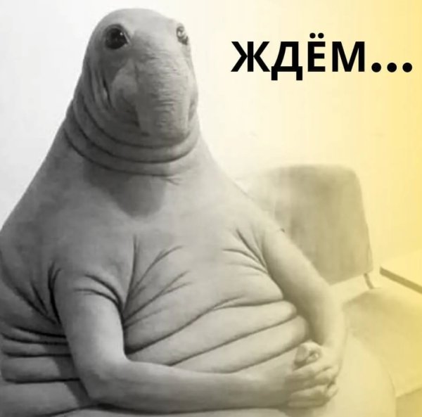 Ждун картинки прикольные