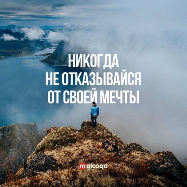 Мотивация цитаты