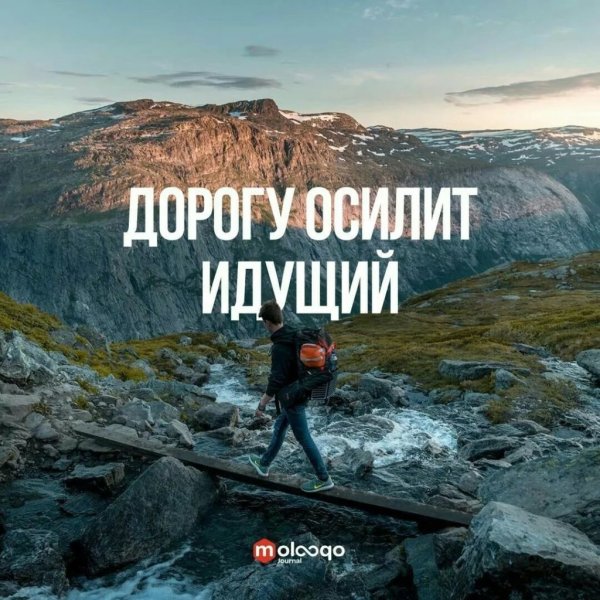 Интересные высказывания