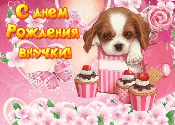 С днём рождения внучкс