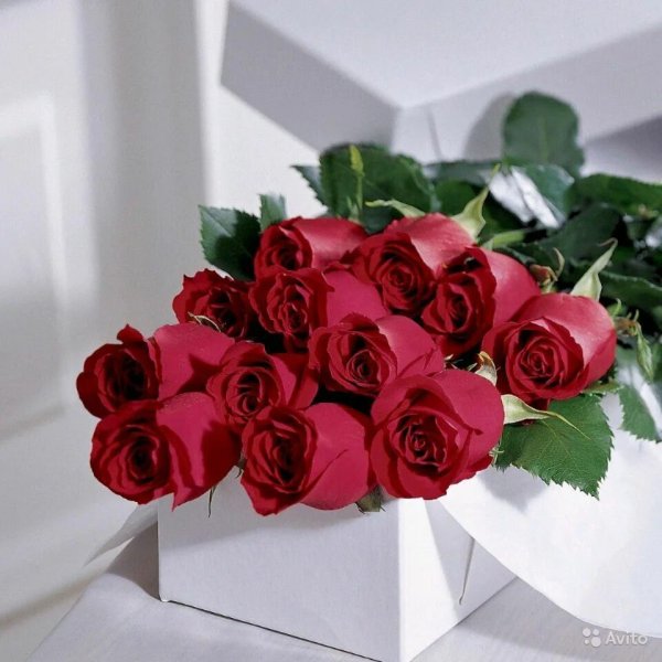 С днём рождения дочери