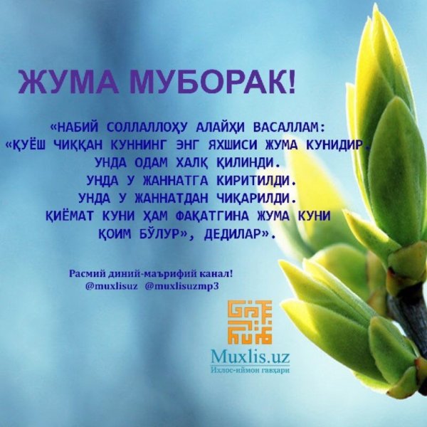 Жума муборак расмлар