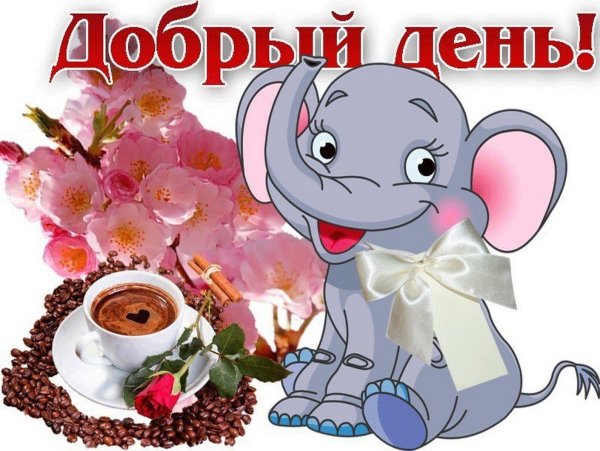 Добрый день картинки