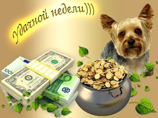 Удачной недели