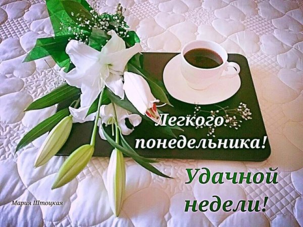 С добрым утром понедельника и удачной недели