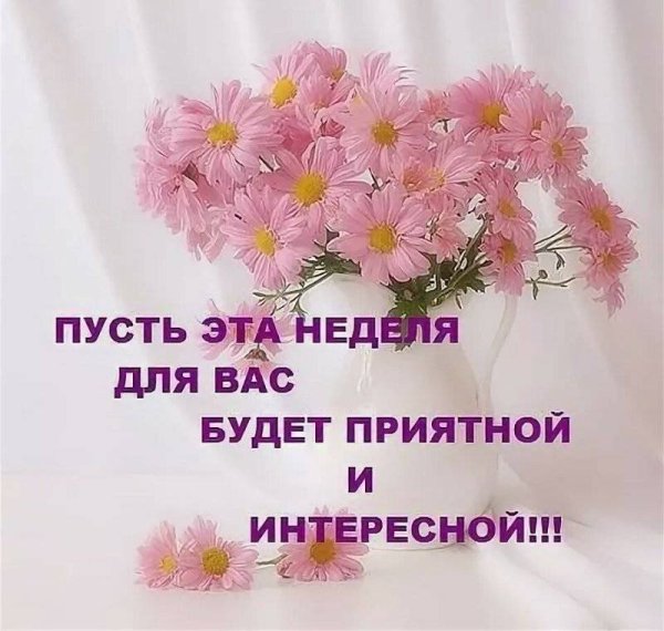 Отличного начала недели
