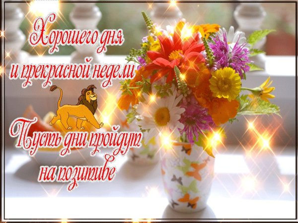 Удачной недели и хорошего настроения