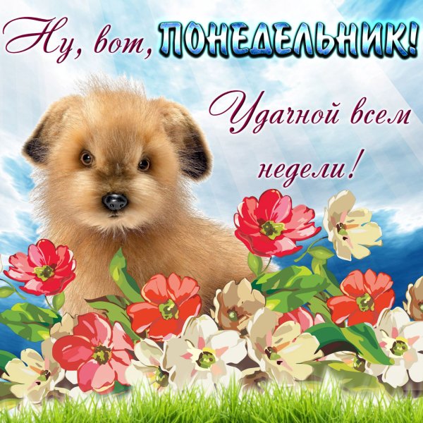 Открытка хорошего дня с собачкой