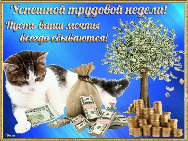 Хорошей недели