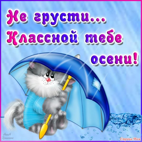 Милые котята с надписями