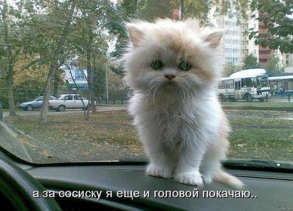 Не грусти улыбнись