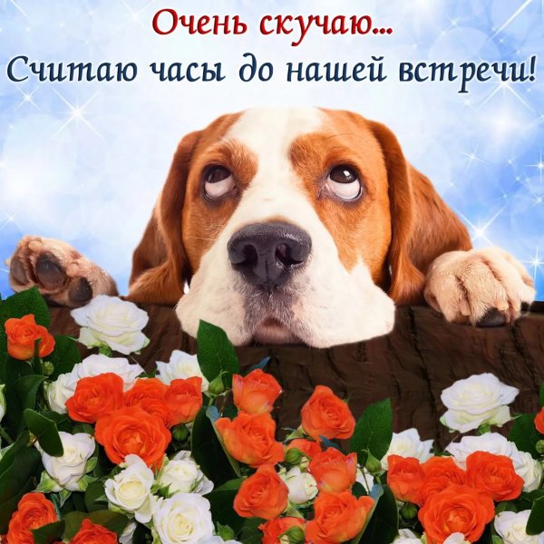 Я очень скучаю по тебе