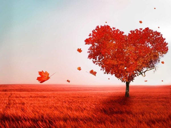 З днем Святого Валентина