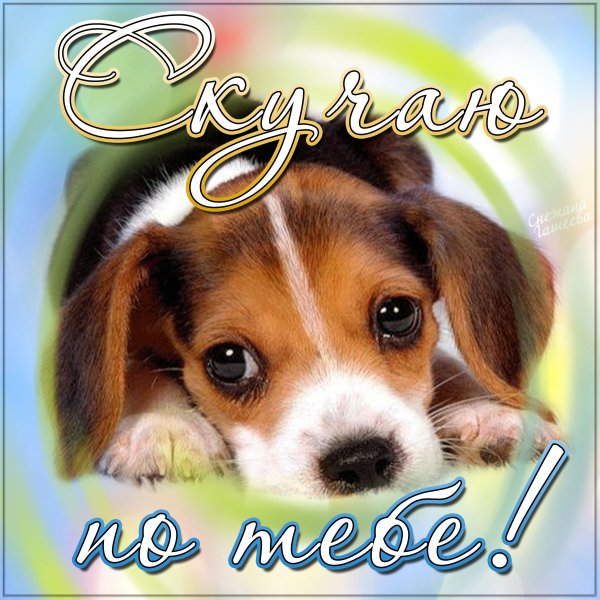 Открытки скучаю по тебе любимый