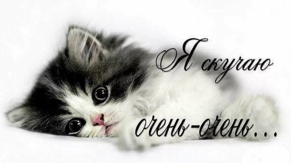 Скучаю картинки