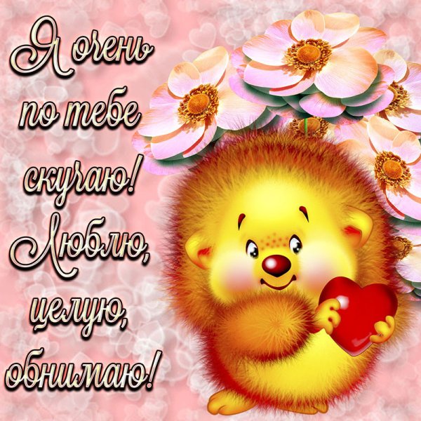 Я скучаю по тебе