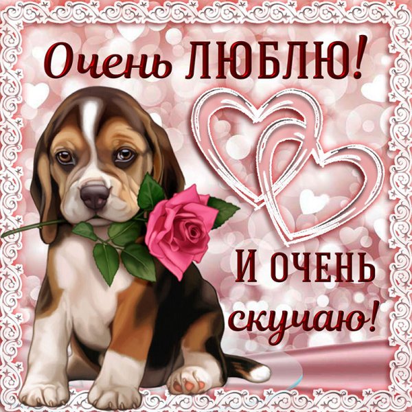 Скучаю по тебе