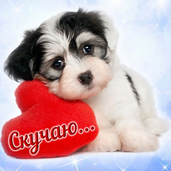 Скучаю по тебе