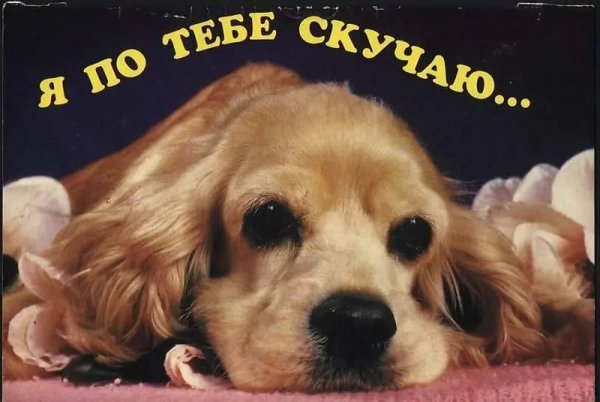 Я скучаю по тебе картинки