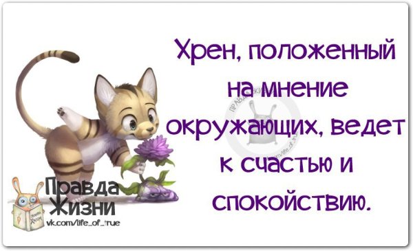 Правда жизни цитаты