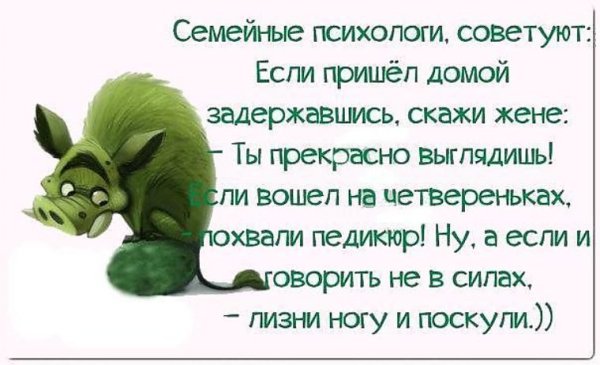 Смешные фразы про жизнь