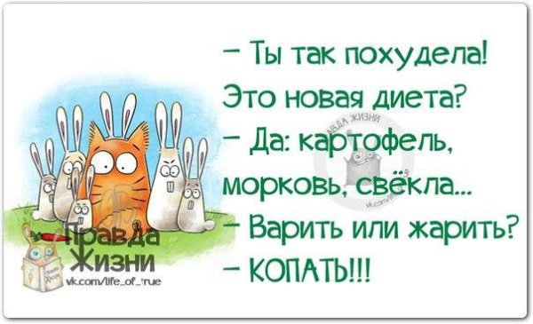 Смешные цитаты с картинками правда жизни