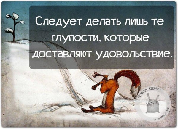 Прикольные высказывания о жизни