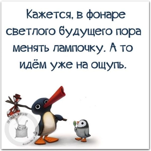 Цитаты о жизни с юмором