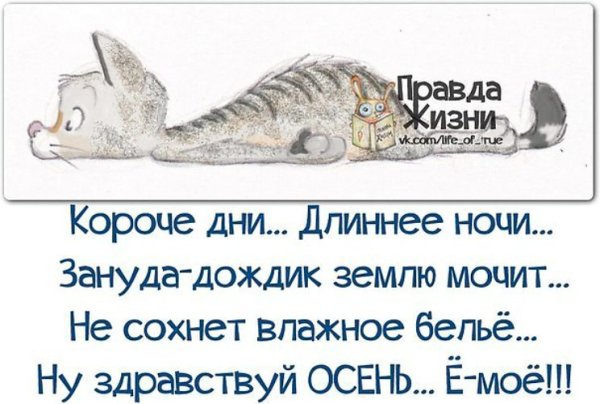 Правда жизни