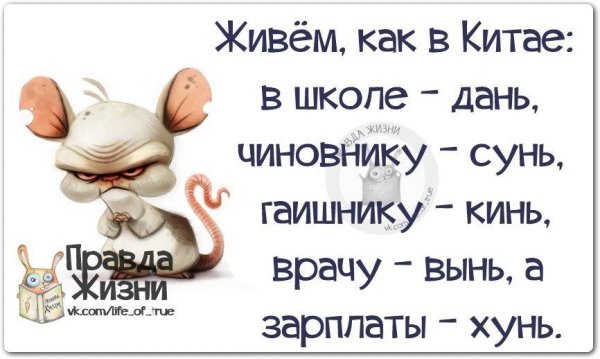 Правда жизни цитаты